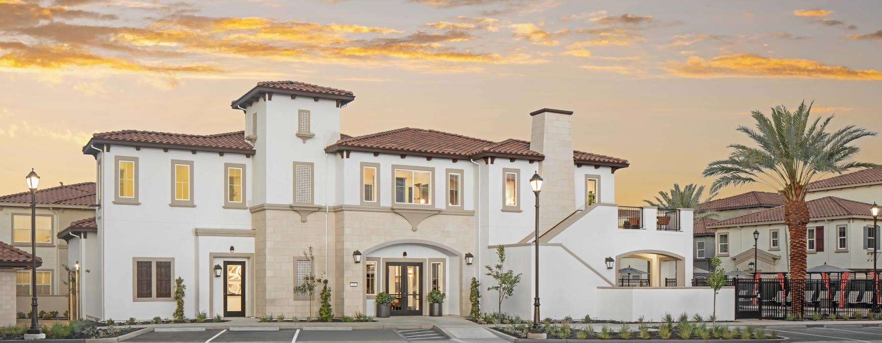 a large white building with a street and trees in front of it